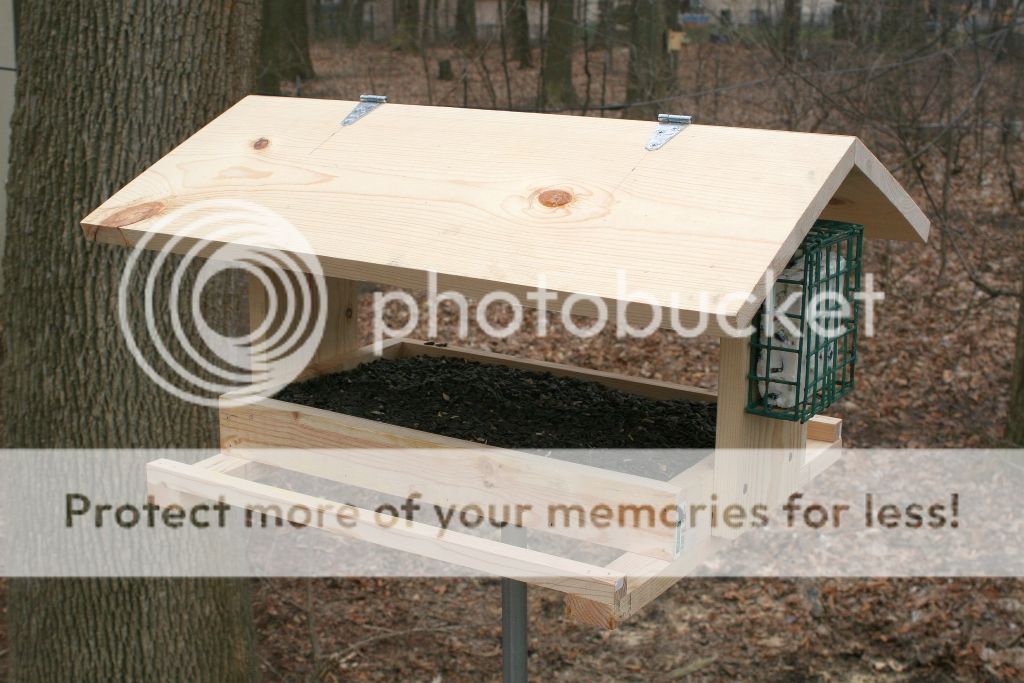 Bird feeder Michigan Sportsman Forum